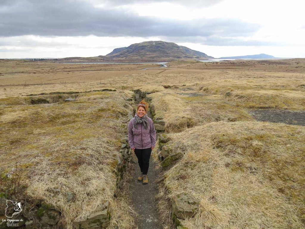 Budget voyage en Islande dans notre article Une semaine en Islande : Mon expérience à visiter l’Islande en solo #islande #unesemaine #voyage #europe #voyageensolo
