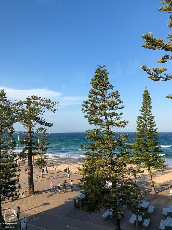 Péninsule de Manly près de Sydney dans l'article Visiter Sydney en Australie : Que faire à Sydney et dans les environs #sydney #australie #voyage #oceanie