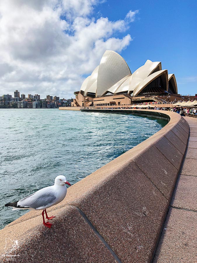 Sydney Opera dans l'article Visiter Sydney en Australie : Que faire à Sydney et dans les environs #sydney #australie #voyage #oceanie