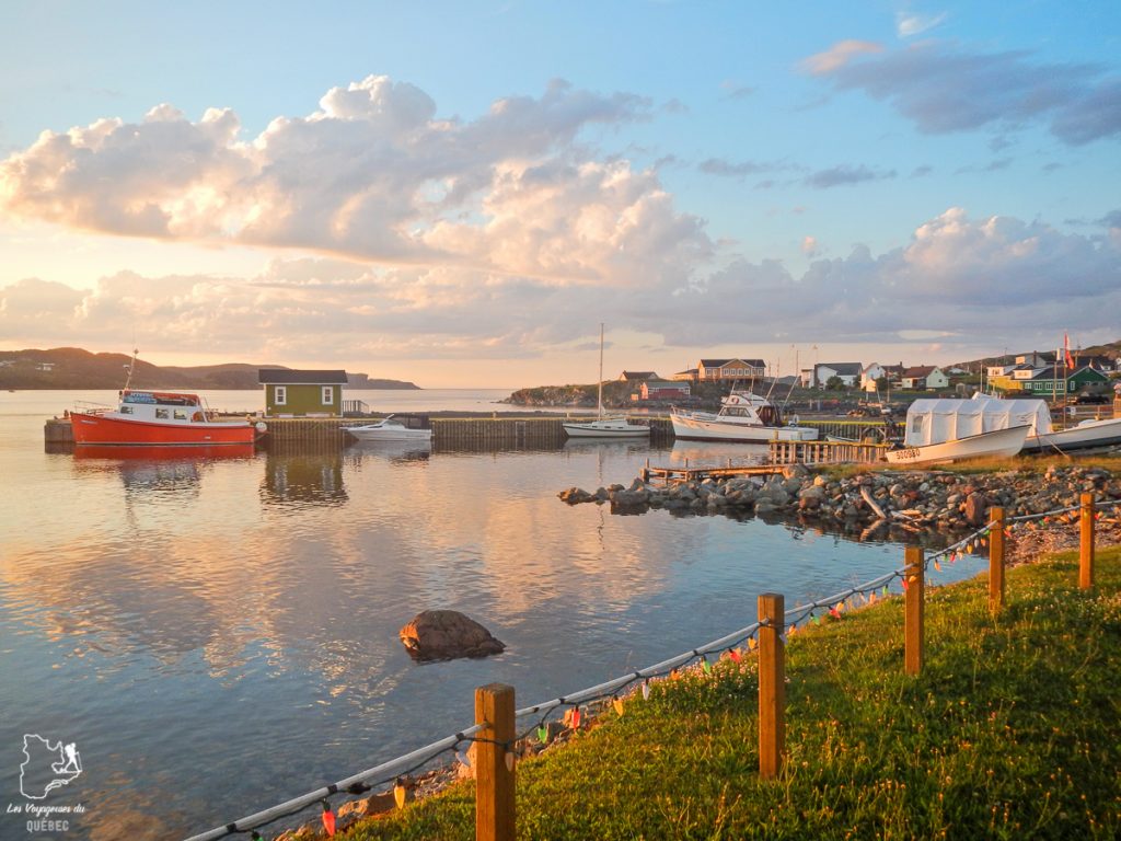 Visiter Terre-Neuve au Canada : mon itinéraire de 10 jours sur l’île de Terre-Neuve #terreneuve #canada #voyage #amerique
