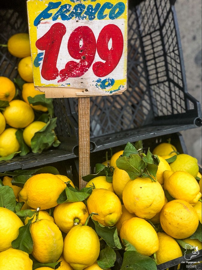 Citrons et limoncello à Naples en Italie dans notre article Que faire à Naples en Italie et voir : Visiter Naples, Pompéi et la Côte Amalfitaine #naples #italie #europe #voyage #pompei #coteamalfitaine
