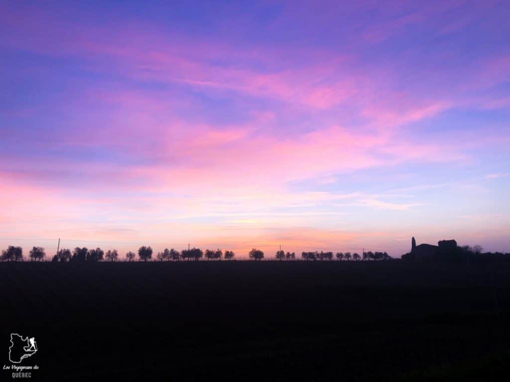 Vignoble et coucher de soleil dans la Vallée de Chianti en Toscane dans notre article Visiter la Toscane en Italie : Mes incontournables de que faire et voir en 10 jours #toscane #italie #europe #voyage #itineraire #chianti