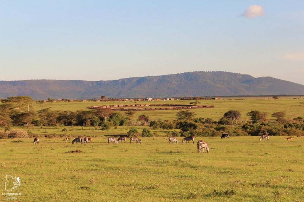 Camp Masaï Mara au Kenya dans notre article Safari au Kenya et en Tanzanie : comment l’organiser et s’y préparer #kenya #tanzanie #safari #afrique #voyage