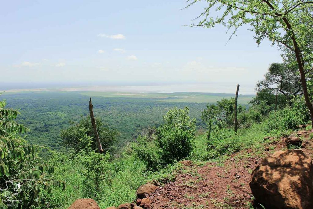 Parc national du Lake Manyara en Tanzanie dans notre article Safari au Kenya et en Tanzanie : comment l’organiser et s’y préparer #kenya #tanzanie #safari #afrique #voyage