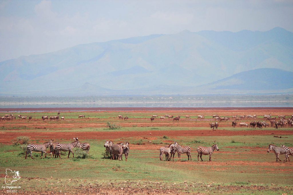 Le Mont Meru en Tanzanie dans notre article Safari au Kenya et en Tanzanie : comment l’organiser et s’y préparer #kenya #tanzanie #safari #afrique #voyage