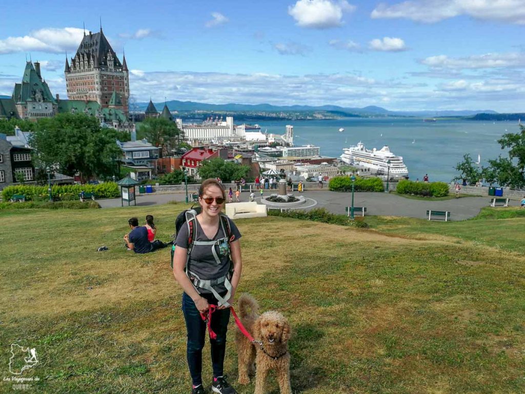 La ville de Québec, un endroit où aller avec son chien au Québec dans notre article Voyager avec son chien au Québec : Que faire et où aller #quebec #chien #voyager