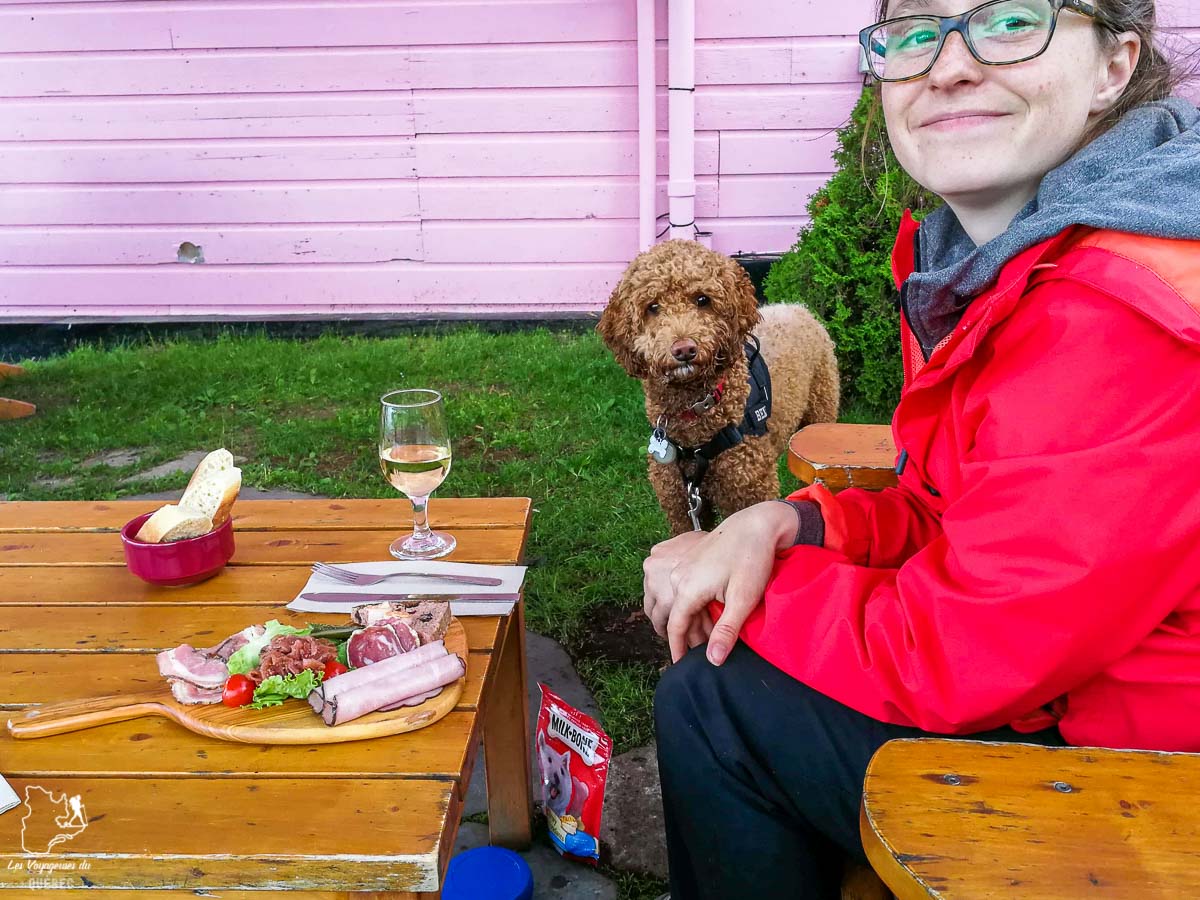 Terrasse où manger avec mon chien à Tadoussac dans notre article Voyager avec son chien au Québec : Que faire et où aller #quebec #chien #voyager