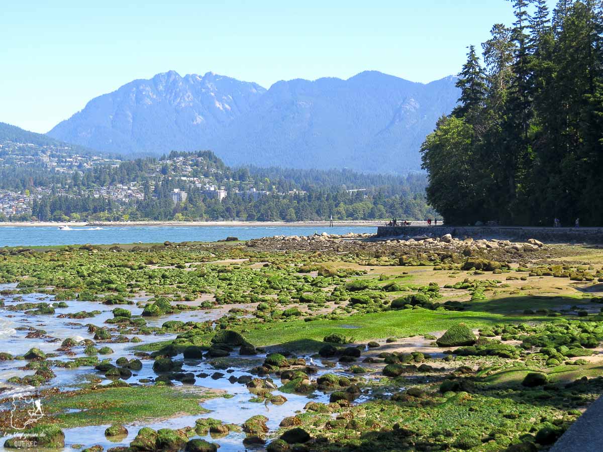 Seawall Parc Stanley à visiter à Vancouver dans notre article Visiter Vancouver au Canada : Mon top 10 de quoi faire et voir dans cette ville #vancouver #canada #voyage #amerique