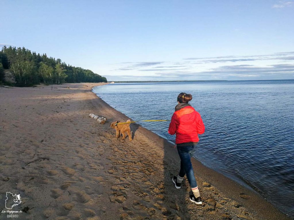 Balade au Lac Saint-Jean avec mon chien dans notre article Voyager avec son chien au Québec : Que faire et où aller #quebec #chien #voyager