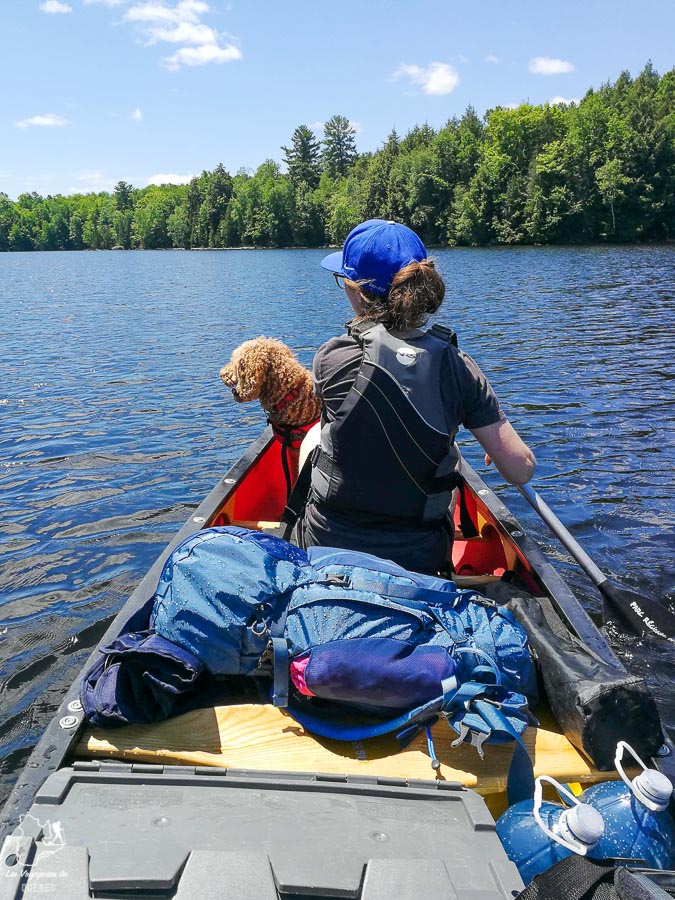 Canot-camping avec son chien au Québec dans notre article Voyager avec son chien au Québec : Que faire et où aller #quebec #chien #voyager