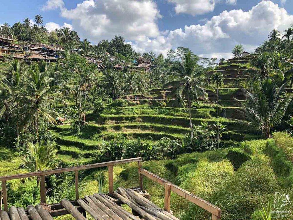 Les rizières en terrasses de Tegalalang près d'Ubud dans notre article Voyage à Bali : 1 mois à visiter Bali en Indonésie entre découvertes et farniente #bali #indonesie #asie #voyage #ile