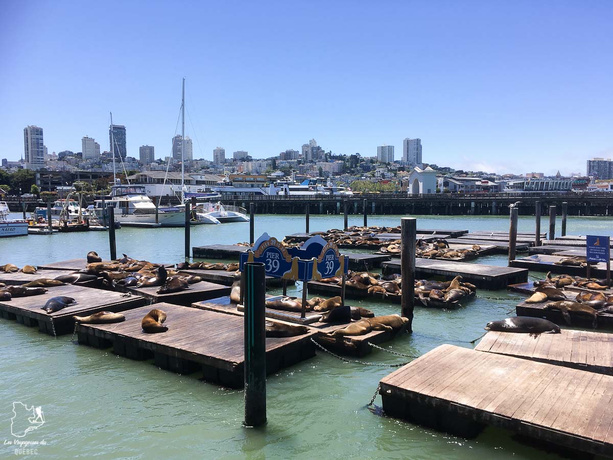 Pier 39 dans la Baie de San Francisco dans notre article Villes de la Californie : une semaine à San Francisco, Los Angeles et San Diego #californie #usa #etatsunis #voyage #losangeles #sanfrancisco #sandiego