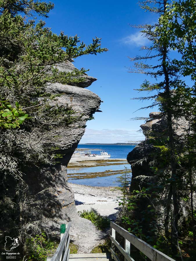 Randonnée sur l'Île Niapiskau l'Archipel-de-Mingan dans notre article Road trip sur la Côte-Nord au Québec : Itinéraire voyage de 10 jours en van #cotenord #quebec #bonjourquebec #canada #roadtrip #voyage