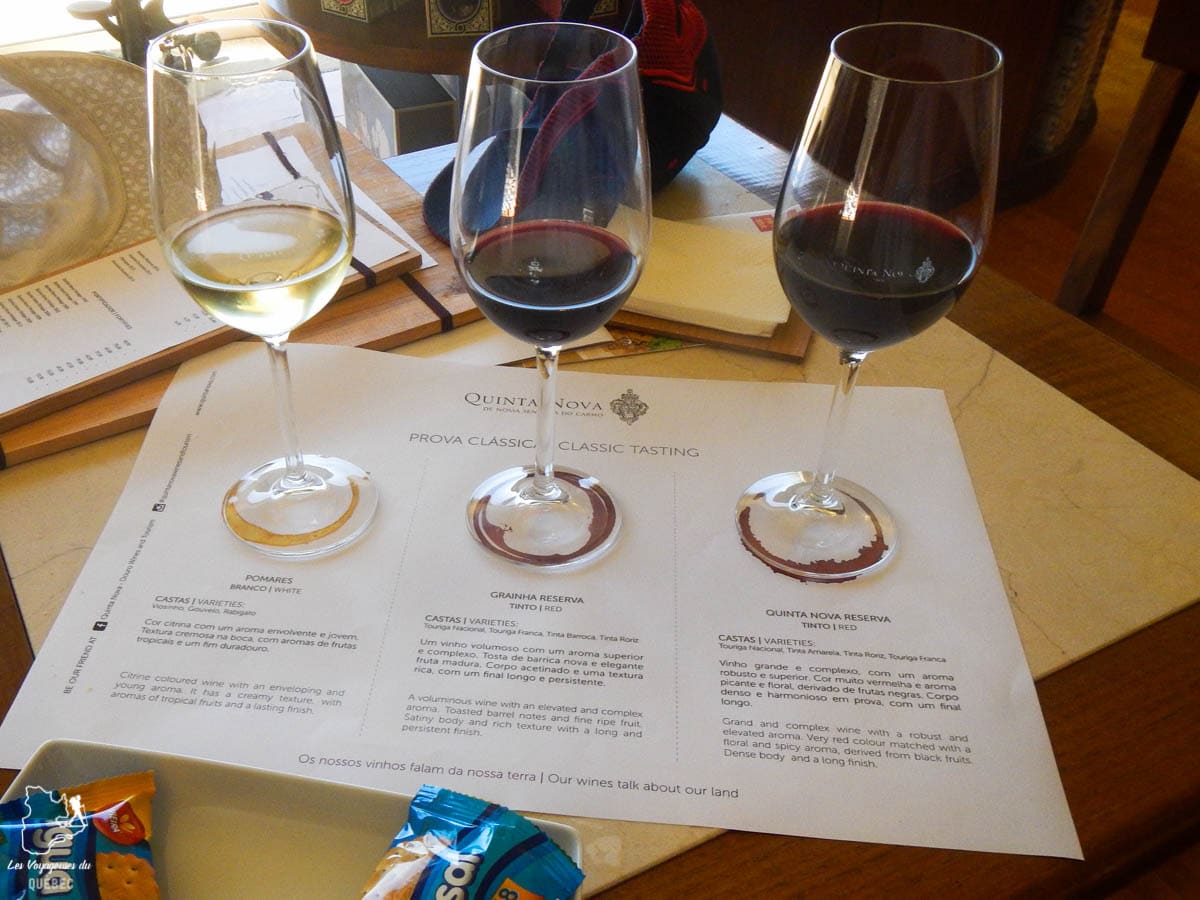 Dégustation de vins dans la Vallée du Douro dans notre article Visiter Porto au Portugal et la Vallée du Douro : Que faire en 7 incontournables #porto #valleedudouro #portugal #europe #voyage