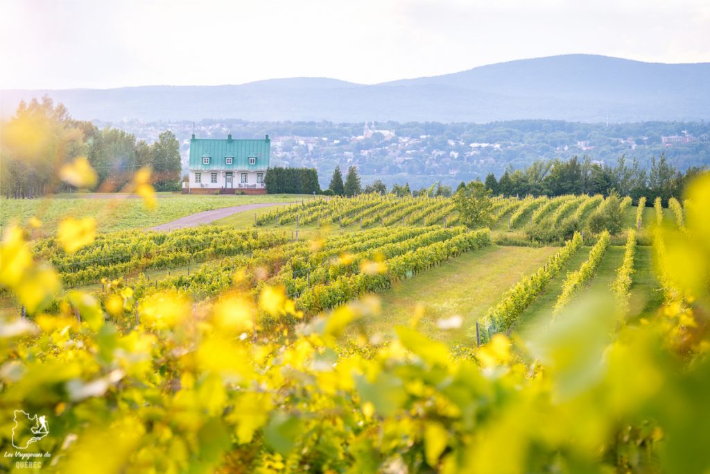 Visiter l'Île d'Orléans au Québec : Incontournables d'une escapade gourmande lors d'un tour de l'Île d'Orléans #ileorleans #quebec #canada #voyage #escapadegourmande