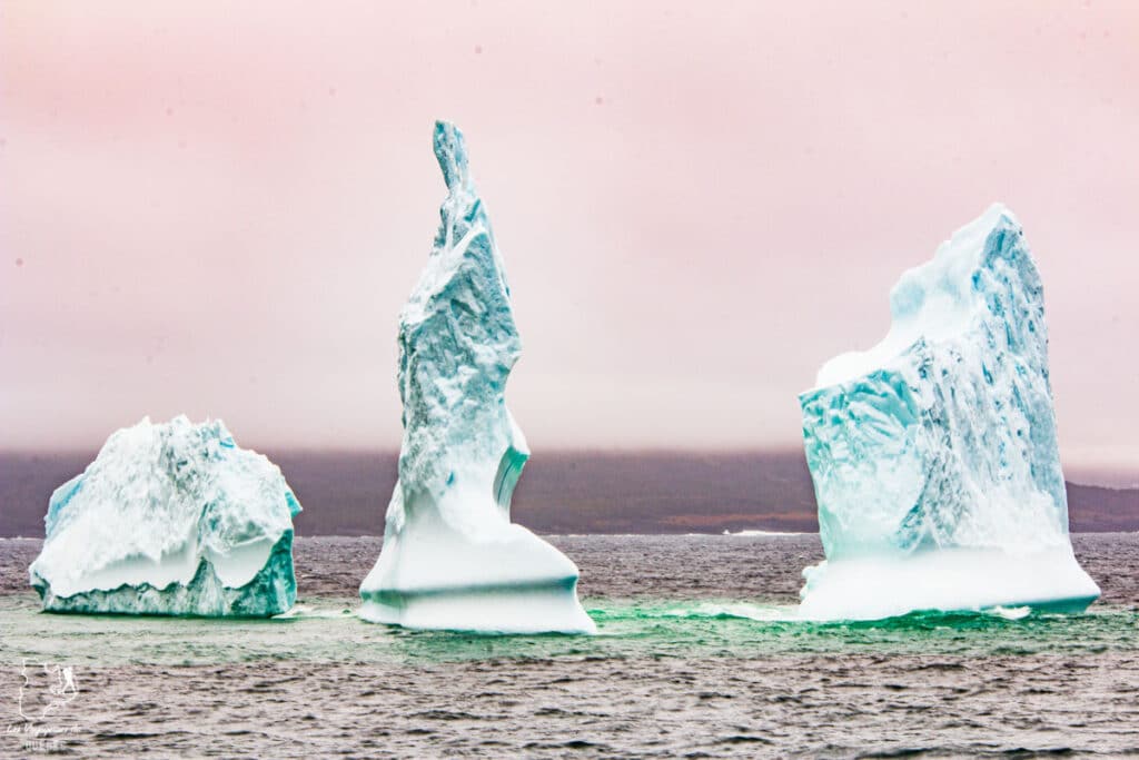Icebergs à Terre-Neuve dans notre article Voyager en palette d'émotions : lorsque l’aventure devient introspection #emotions #voyage #voyager #introspection