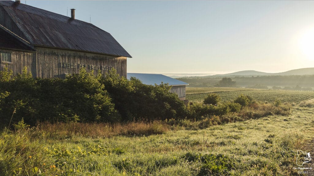 Prince Edward County en Ontario : Mon séjour dans le Comté du Prince-Édouard #ontario #princeedwardcounty #canada
