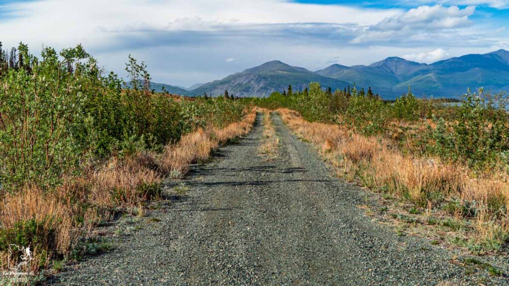 Sortir des sentiers battus lors d'un voyage au Yukon au Canada dans notre article Mon road trip au Yukon au Canada : 12 jours de liberté en truck camper au gré du vent #yukon #canada #roadtrip #voyage