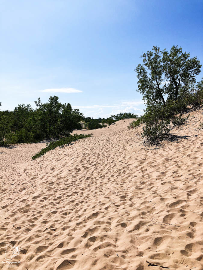 Dunes de Sandbanks dans notre article Prince Edward County en Ontario : Mon séjour dans le Comté du Prince-Édouard #ontario #princeedwardcounty #canada