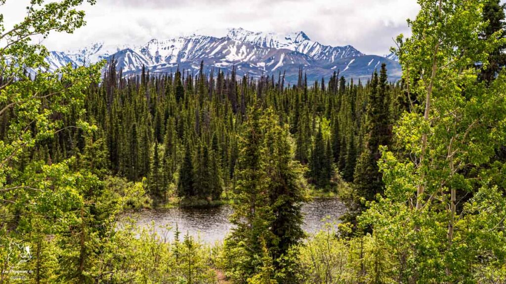 Région de Kluane au Yukon dans notre article Mon road trip au Yukon au Canada : 12 jours de liberté en truck camper au gré du vent #yukon #canada #roadtrip #voyage