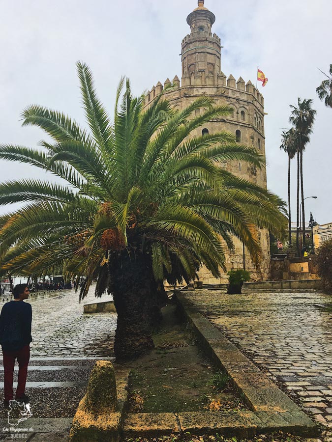 Tour de l'Or à Séville dans notre article Voyage au sud de l’Espagne : Itinéraire de 2 semaines à visiter en mode backpack #espagne #sudespagne #malaga #seville #grenade #europe #voyage #itineraire #backpack
