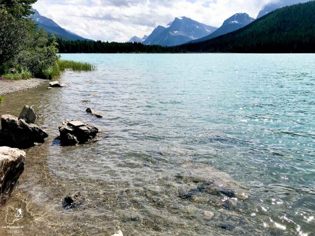 Dodo au lac Waterfowl à Banff en Alberta lors d'un road trip au Canada dans notre article Road trip au Canada : Tout savoir pour préparer son road trip vers l’Ouest du Canada #vanlife #roadtrip #canada #ouestducanada #voyage
