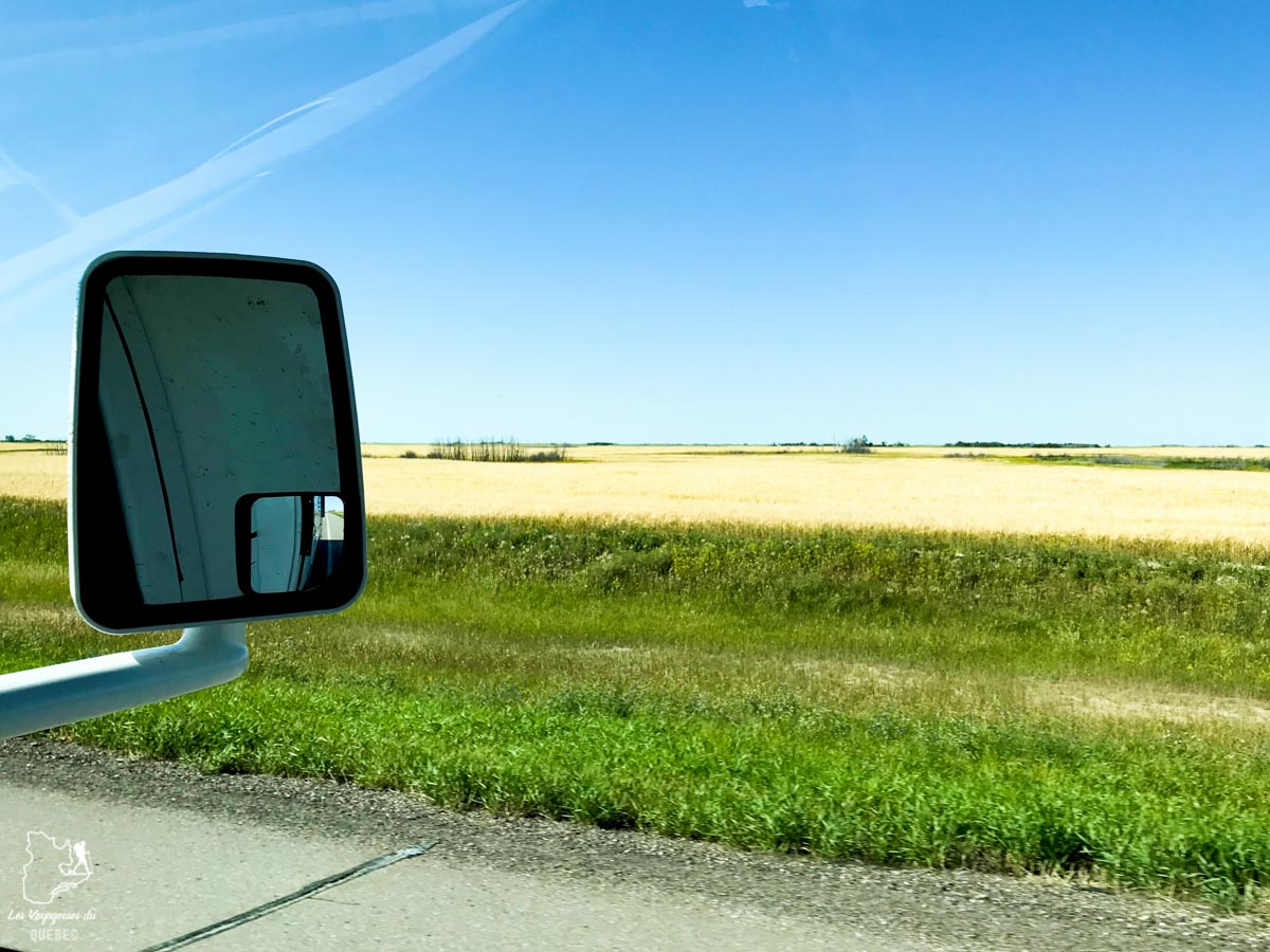 Traverser les prairies lors d'un road trip au Canada dans notre article Road trip au Canada : Tout savoir pour préparer son road trip vers l’Ouest du Canada #vanlife #roadtrip #canada #ouestducanada #voyage