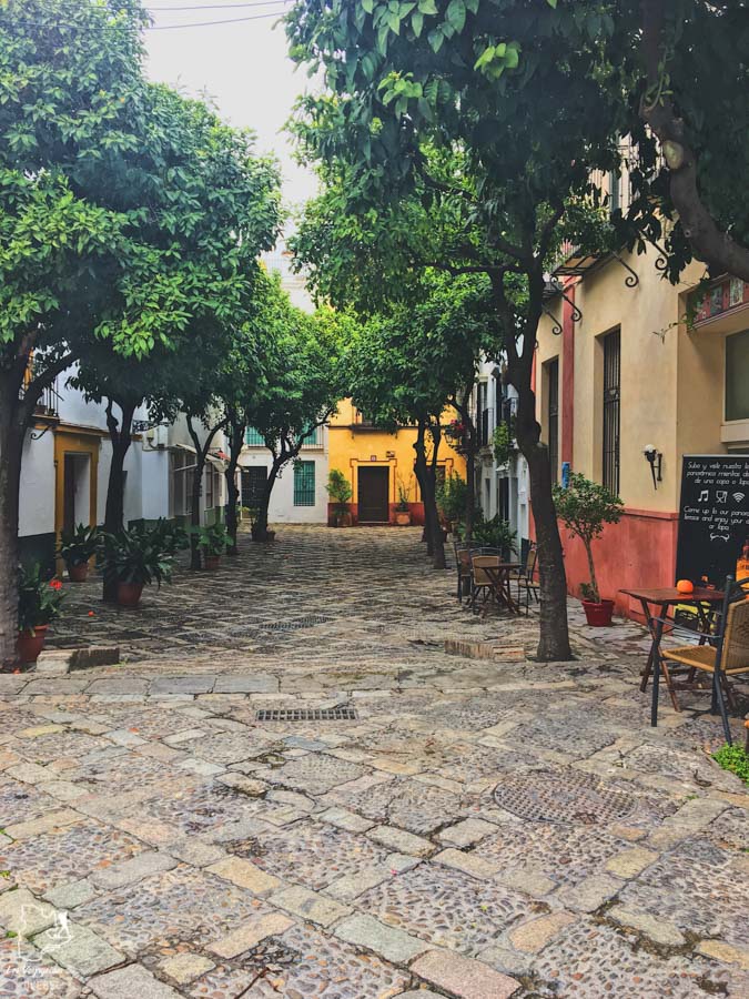 Quartier Santa Cruz de Séville dans notre article Voyage au sud de l’Espagne : Itinéraire de 2 semaines à visiter en mode backpack #espagne #sudespagne #malaga #seville #grenade #europe #voyage #itineraire #backpack