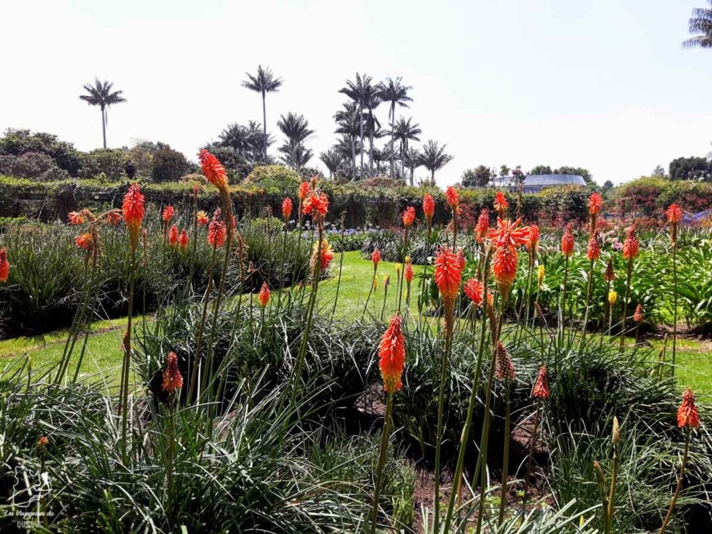 Jardin botanico à Bogota dans notre article Voyage en Colombie : 3 semaines à voyager seule en Colombie à Bogotá, Carthagène et San Andrés #colombie #ameriquedusud #voyagerseule #voyage #bogota #carthagene #sanandres