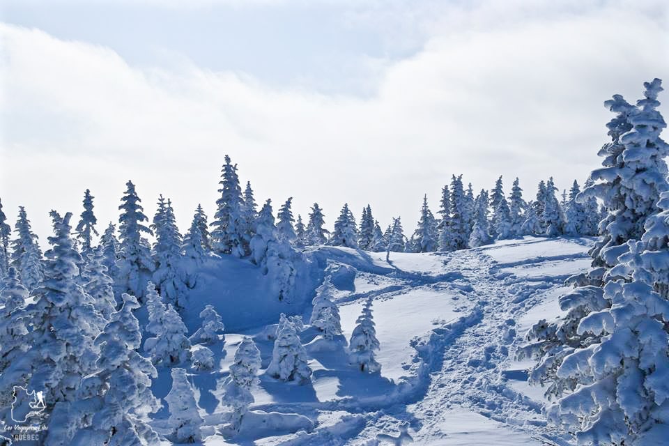 Randonnée en raquettes au Mont-Valins dans notre article 10 activités hivernales au Québec : quoi faire au Québec en hiver #hiver #quebec #canada #activites