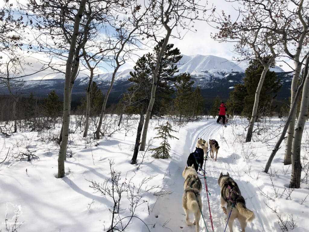 Visiter le Yukon en hiver : quoi faire au Yukon durant la saison hivernale #yukon #hiver #canada #voyage