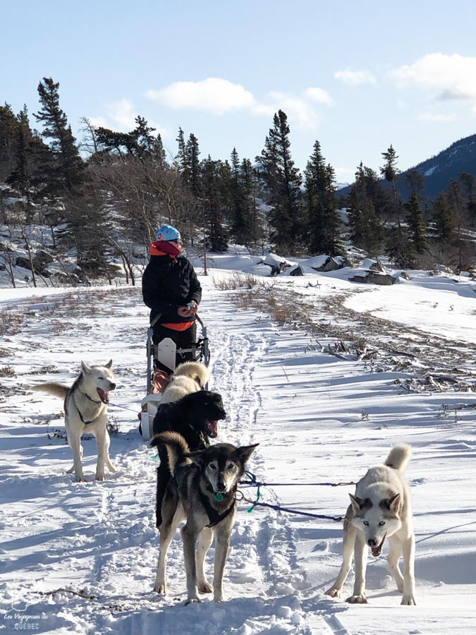 Expédition en traîneau à chien à Car Cross au Yukon dans notre article Visiter le Yukon en hiver : quoi faire au Yukon durant la saison hivernale #yukon #hiver #canada #voyage