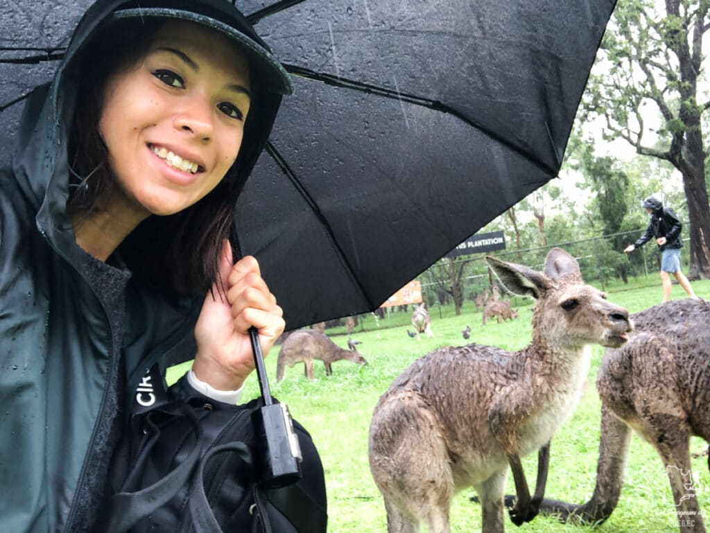 Que faire quand il pleut en voyage: 11 idées de que faire par temps de pluie #pluie #voyage #astuces