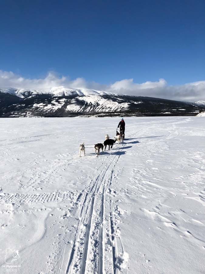 Expédition en traîneau à chien à Car Cross au Yukon dans notre article Visiter le Yukon en hiver : quoi faire au Yukon durant la saison hivernale #yukon #hiver #canada #voyage
