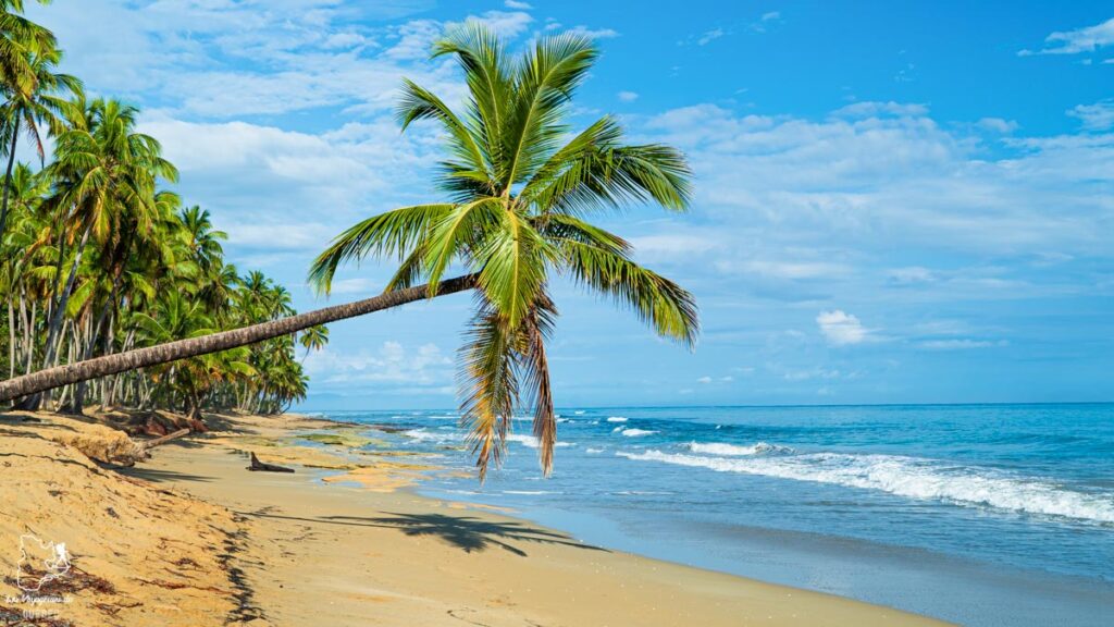 Playa Cosón à Las Terrenas en République Dominicaine dans notre article Voyager en République Dominicaine autrement : Las Terrenas, destination coup de coeur #republiquedominicaine #caraibes #antilles #amerique #voyage #voyagedanslesud #lasterrenas
