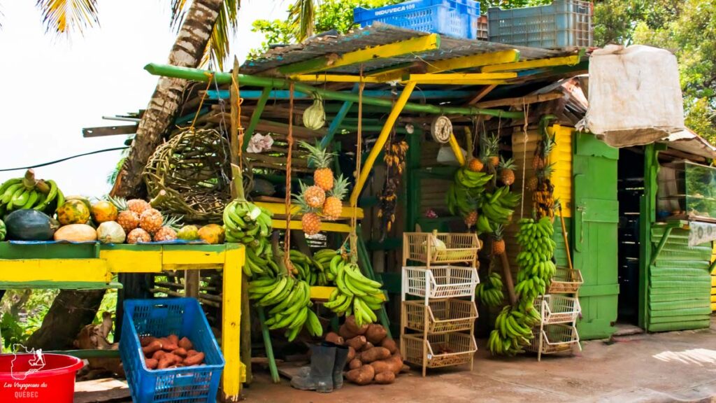 Kiosque du marchand de fruits à Las Terrenas dans notre article Voyager en République Dominicaine autrement : Las Terrenas, destination coup de coeur #republiquedominicaine #caraibes #antilles #amerique #voyage #voyagedanslesud #lasterrenas