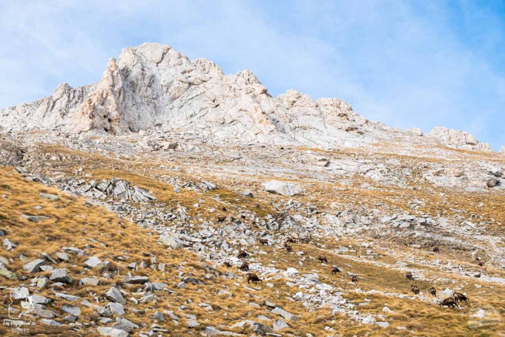Randonnée sur le Mont Vihren en Bulgarie dans notre article Visiter la Bulgarie : itinéraire et conseils pour 1 mois de voyage en Bulgarie #bulgarie #europe #europedelest #voyage