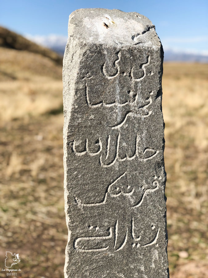 Hiéroglyphes de la Tour de Burana dans notre article Voyage au Kirghizistan : Mon aventure parmi les nomades du Kirghizistan #Kirghizistan #asiecentrale #voyage #randonnee #cheval #nomade