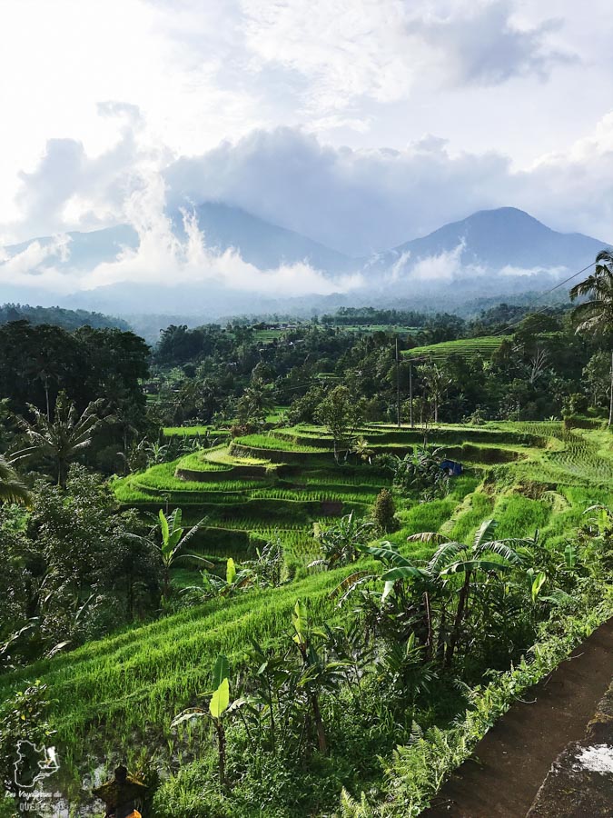 L'Indonésie, l'Asie à son meilleur pour voyager en tant que femme dans notre article Voyager en tant que femme : 10 destinations coups de coeur pour voyageuses #destination #femme #voyager #voyage #solo #voyageuse