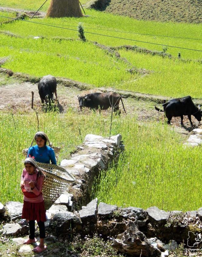 Le Népal, une destination pour voyager en tant que femme dans notre article Voyager en tant que femme : 10 destinations coups de coeur pour voyageuses #destination #femme #voyager #voyage #solo #voyageuse
