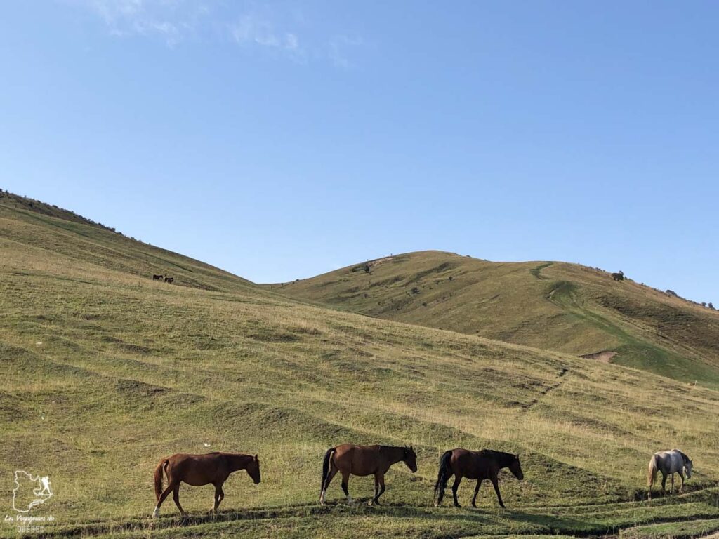 Rando cheval au Kirghizistan dans notre article Voyage au Kirghizistan : Mon aventure parmi les nomades du Kirghizistan #Kirghizistan #asiecentrale #voyage #randonnee #cheval #nomade