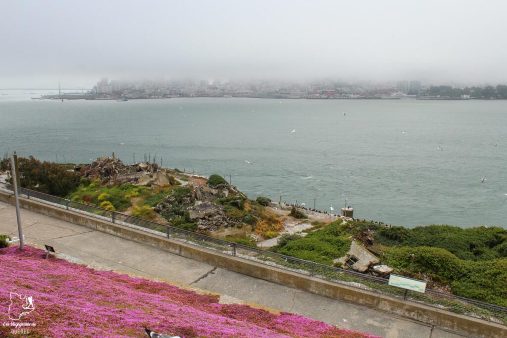 Vie sur l'île d'Alcatraz à San Francisco dans notre article Visiter Alcatraz : Tout savoir sur la visite de cette prison de San Francisco #alcatraz #ile #sanfrancisco #californie #usa #etatsunis #prison