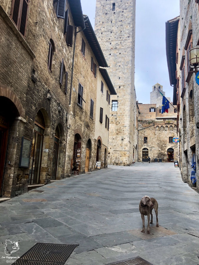 La ville médiévale de San Gimignano en Italie inscrite à l'Unesco dans notre article Mon weekend à visiter San Gimignano en Italie : Magnifique ville fortifiée de la Toscane #sangimignano #toscane #italie #unesco #voyage