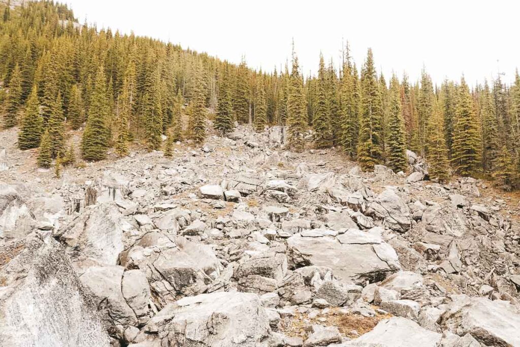 Sortir des sentiers battus lors d'une randonnée dans les Rocheuses dans notre article Visiter le Canada autrement : Ma traversée du Canada hors des sentiers battus #canada #roadtrip