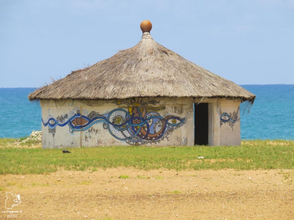 Le Vaudou est célébré chaque année à Ouidah au Bénin en Afrique dans notre article Voyage au Bénin: Le Bénin en Afrique en 8 incontournables à visiter #benin #afrique #voyage