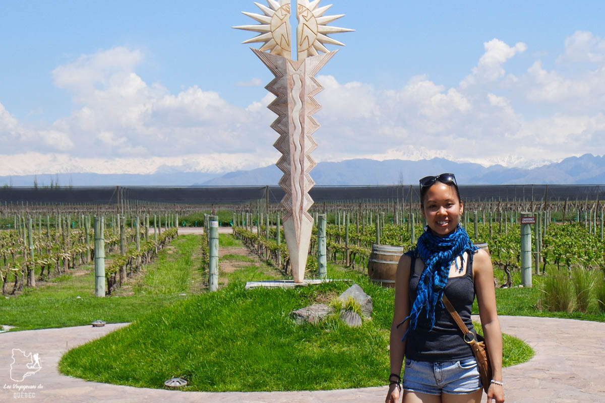 Vignoble à Mendoza en Argentine dans notre article Quitter une vie où il faut plaire à tout prix pour voyager et être enfin libre #voyage #voyageraufeminin #femme #inspiration
