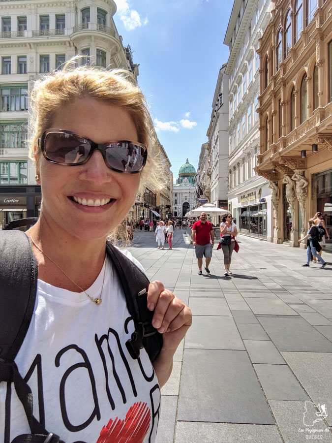 La rue Graben à Vienne dans notre article Visiter Vienne en Autriche : que voir et que faire à Vienne en 5 jours #vienne #autriche #europe #voyage