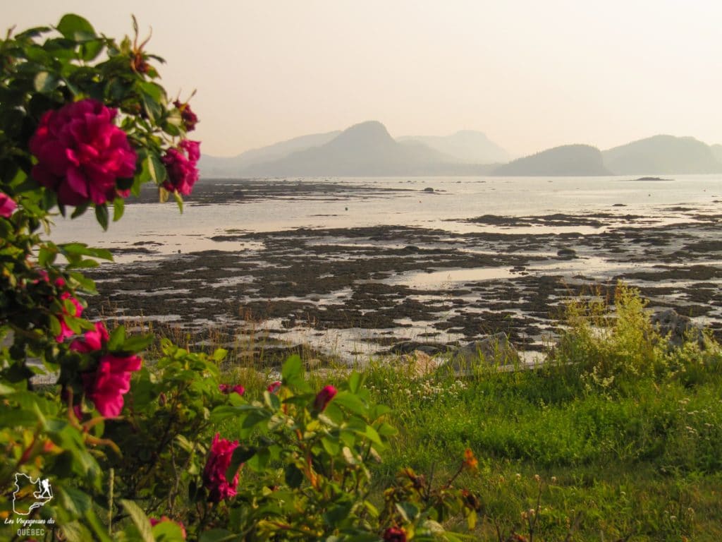 Visiter la région du Bas-Saint-Laurent, c'est tomber en amour avec le bas du fleuve #basstlaurent #bassaintlaurent #basdufleuve #fleuve #quebec #canada #voyage