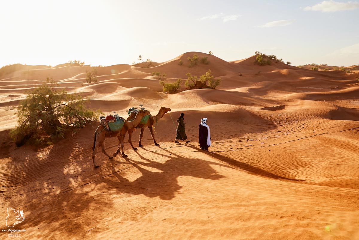 Visiter le désert autour de Dubaï dans notre article Visiter Dubaï avec un petit budget : Que faire à Dubaï et voir pour un séjour pas cher #dubai #emiratsarabesunis #asie #voyage