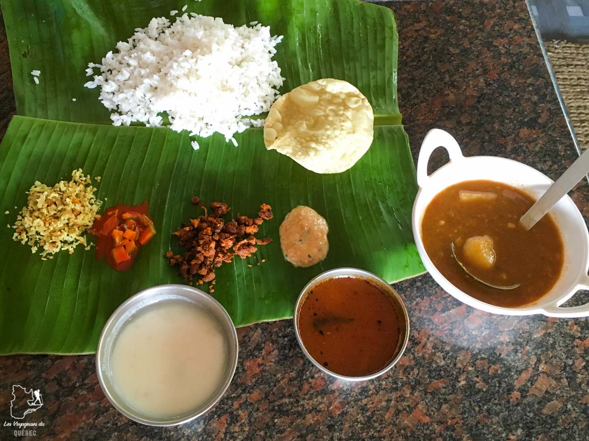 Manger un thali en Inde dans notre article 10 conseils pour un voyage en Inde pas cher et à petit budget #inde #asie #voyage #petitbudget #conseilsvoyage